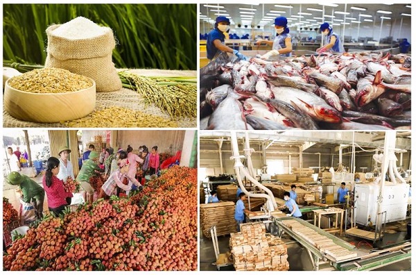 Nông, lâm, thủy sản - Bệ đỡ cho nền kinh tế và an sinh xã hội 